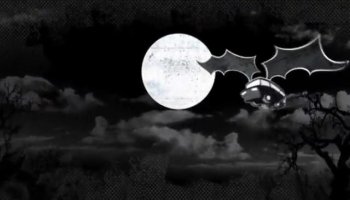 Experienced asian Jessica Bangkok get fucked hard